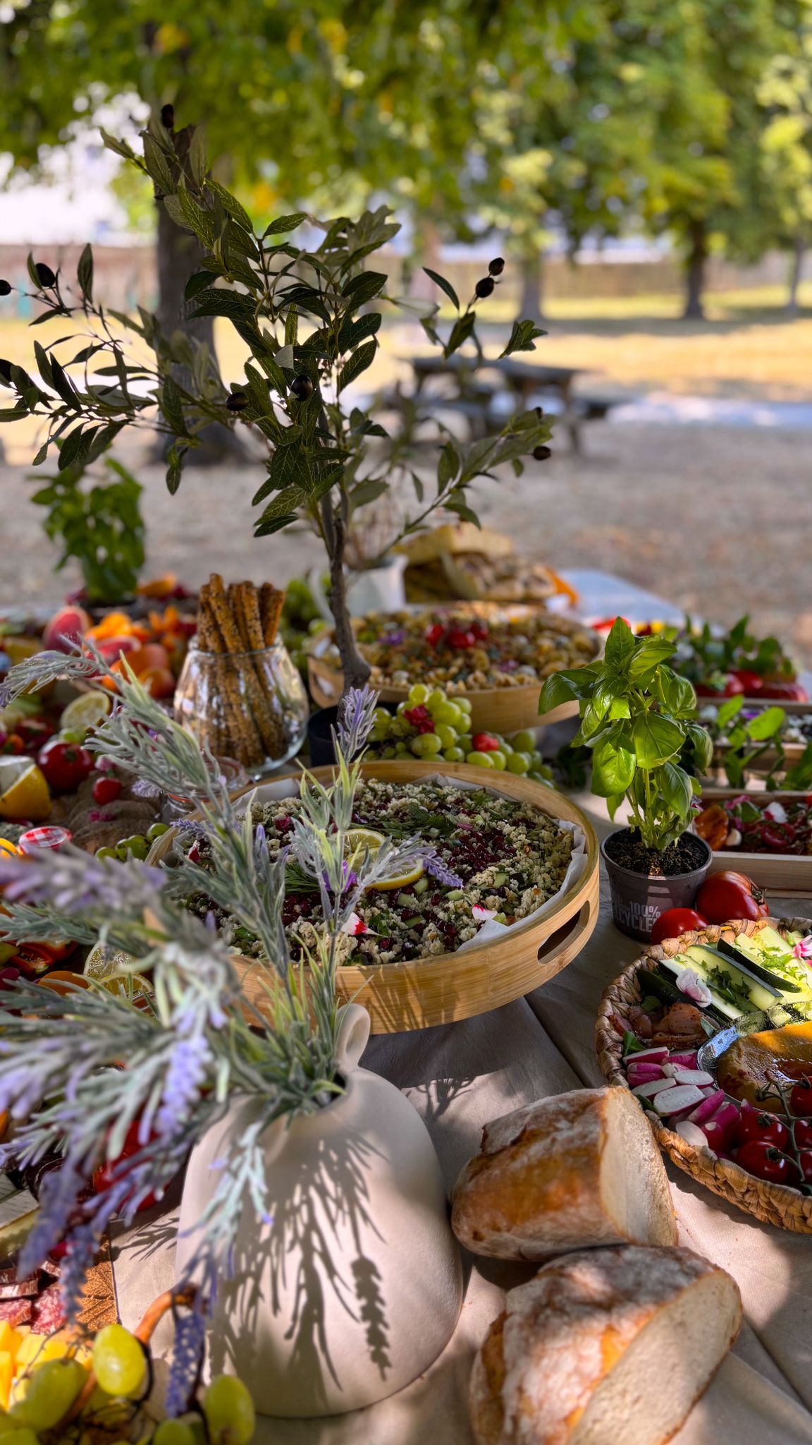 Table grazing complète